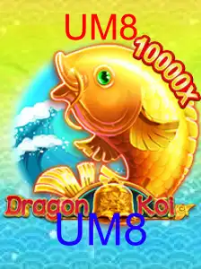 DragonKoi